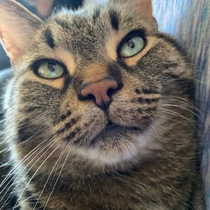 Meet your Posher, Mandy